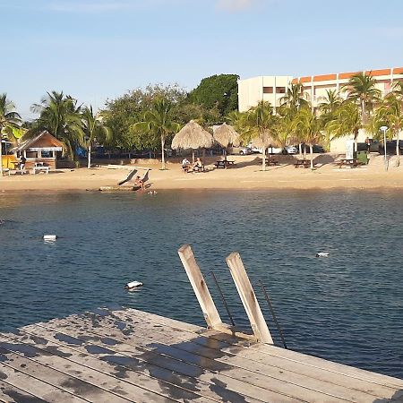 Homely Studio Apartment Curacao Віллемстад Екстер'єр фото